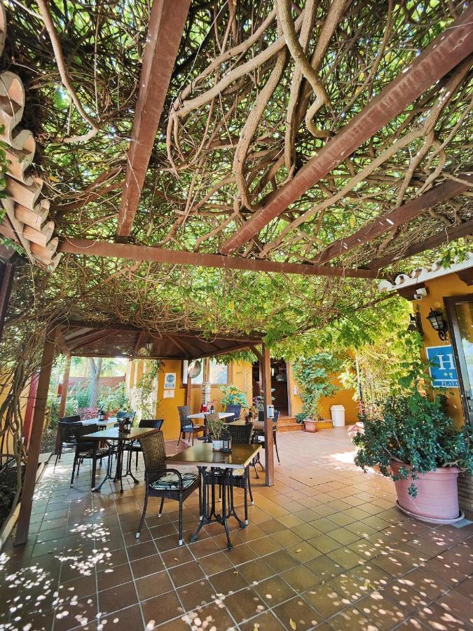 Hotel Donana Blues Matalascañas Esterno foto